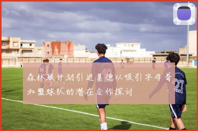 森林狼计划引进基德以吸引字母哥加盟球队的潜在合作探讨